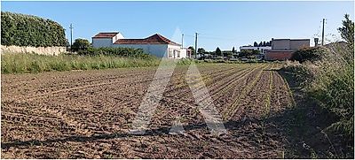 listing-picture-0