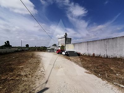 listing-picture-0