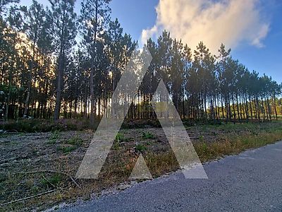 listing-picture-0