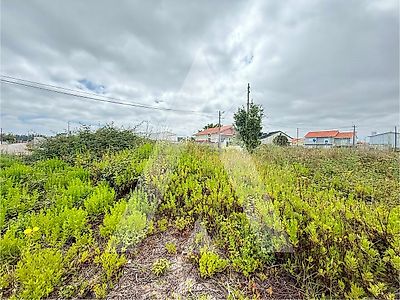 listing-picture-0