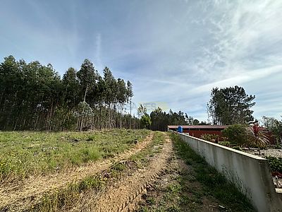 listing-picture-0