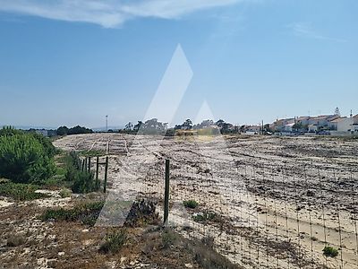 listing-picture-0