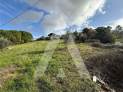 listing-picture-0