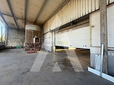 listing-picture-0