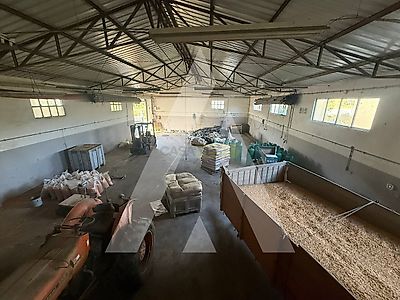 listing-picture-0