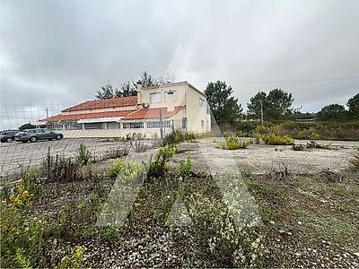 listing-picture-0