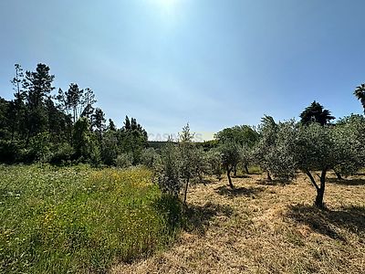 listing-picture-0