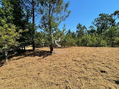 listing-picture-0
