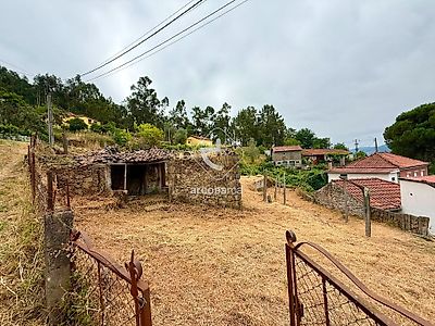 listing-picture-0