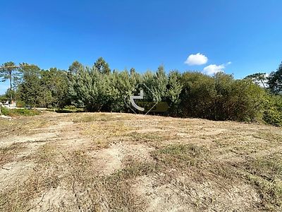 listing-picture-0