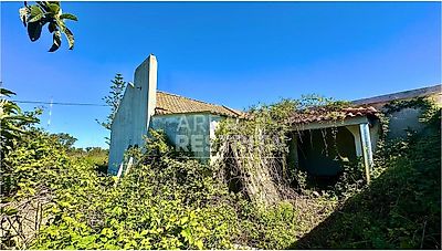 listing-picture-0