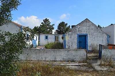 listing-picture-0