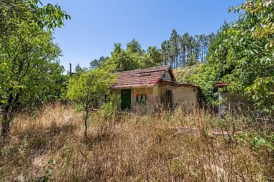 listing-picture-0