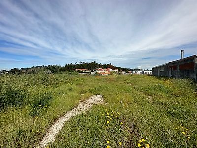 listing-picture-0