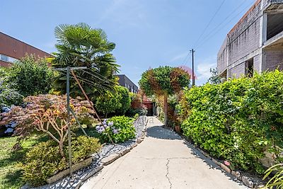 listing-picture-0