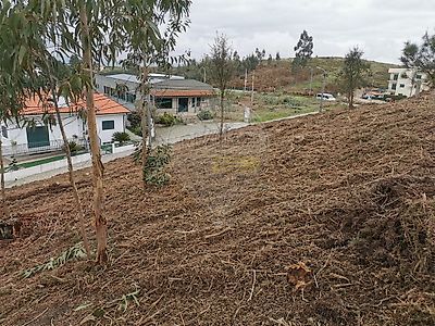 listing-picture-0