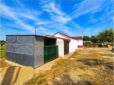 listing-picture-0