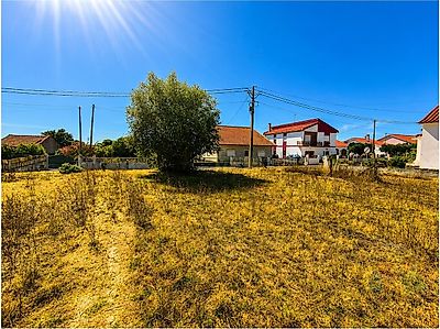 listing-picture-0