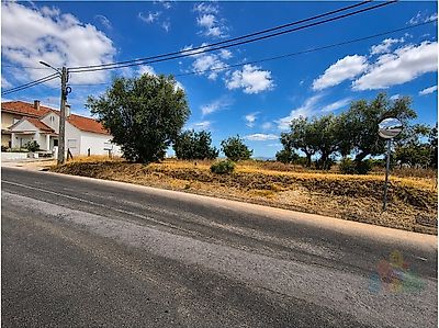 listing-picture-0