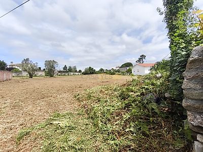 listing-picture-0