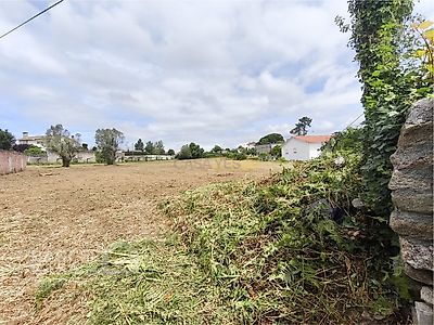 listing-picture-0