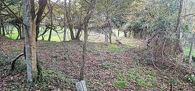 listing-picture-0