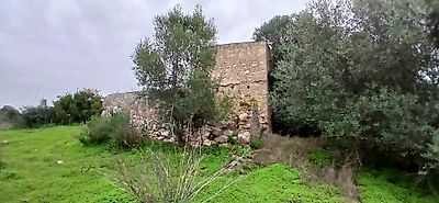 listing-picture-0