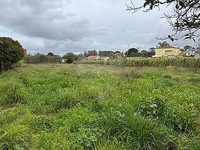 listing-picture-0