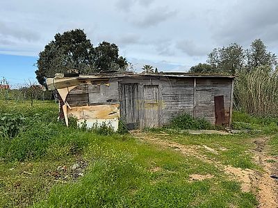 listing-picture-0