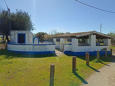 listing-picture-0