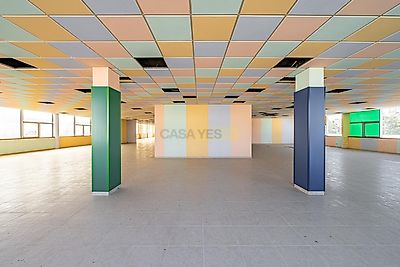 listing-picture-0
