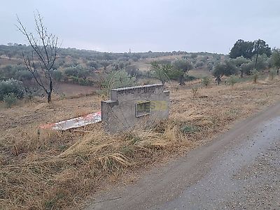 listing-picture-0