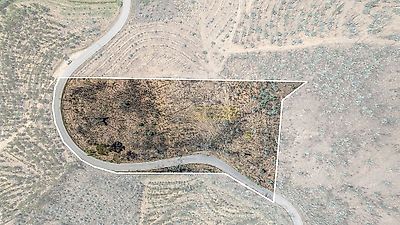 listing-picture-0