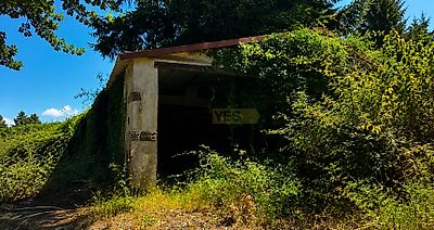 listing-picture-0