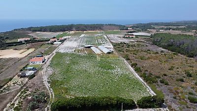 listing-picture-0