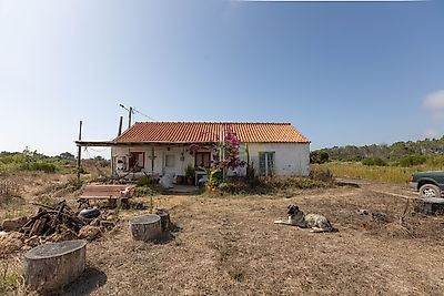 listing-picture-0
