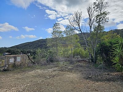 listing-picture-0