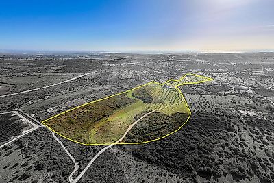 listing-picture-0