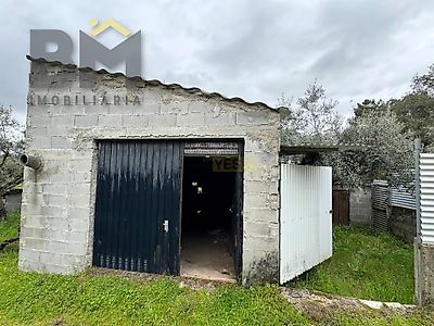 listing-picture-0