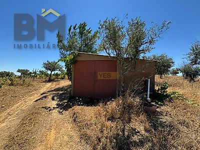 listing-picture-0