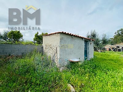 listing-picture-0
