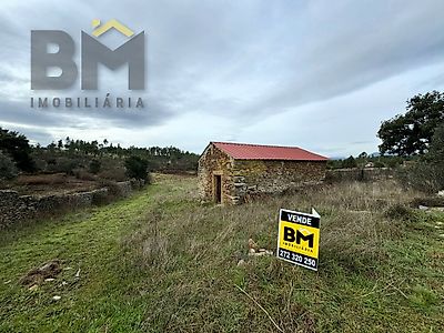 listing-picture-0