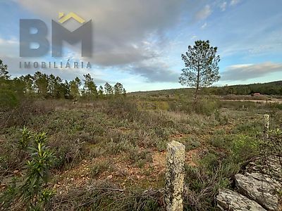 listing-picture-0