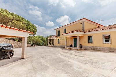listing-picture-0