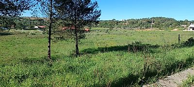 listing-picture-0