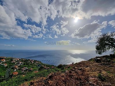 listing-picture-0