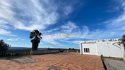 listing-picture-0