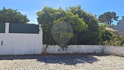 listing-picture-0