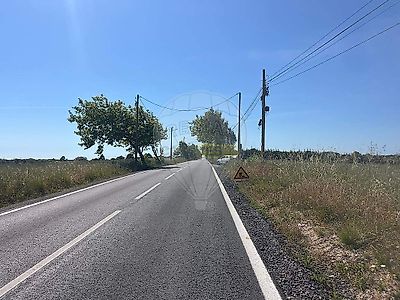 listing-picture-0