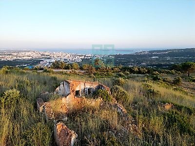 listing-picture-0
